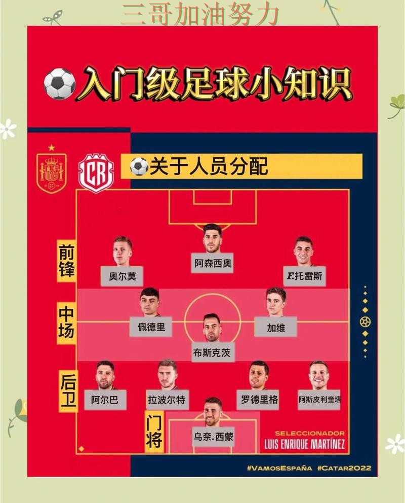 世界杯买球是否值得用？深度解析带你了解（世界杯官方信息）