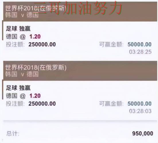 世界杯高清直播背景下的世界杯投注平台揭秘与真实体验直播解析